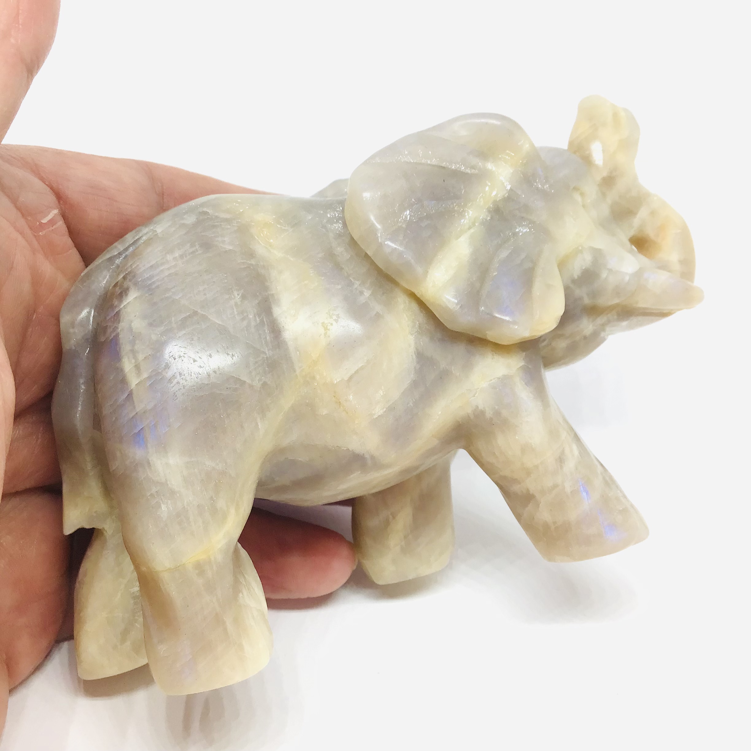 Slon -Měsíční kámen