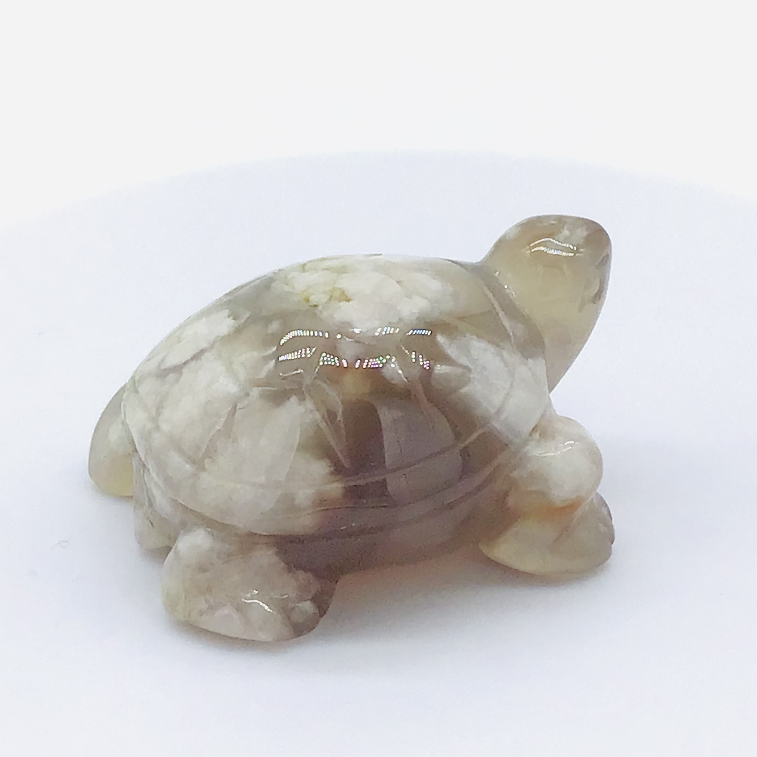 Želva-Květinový achát