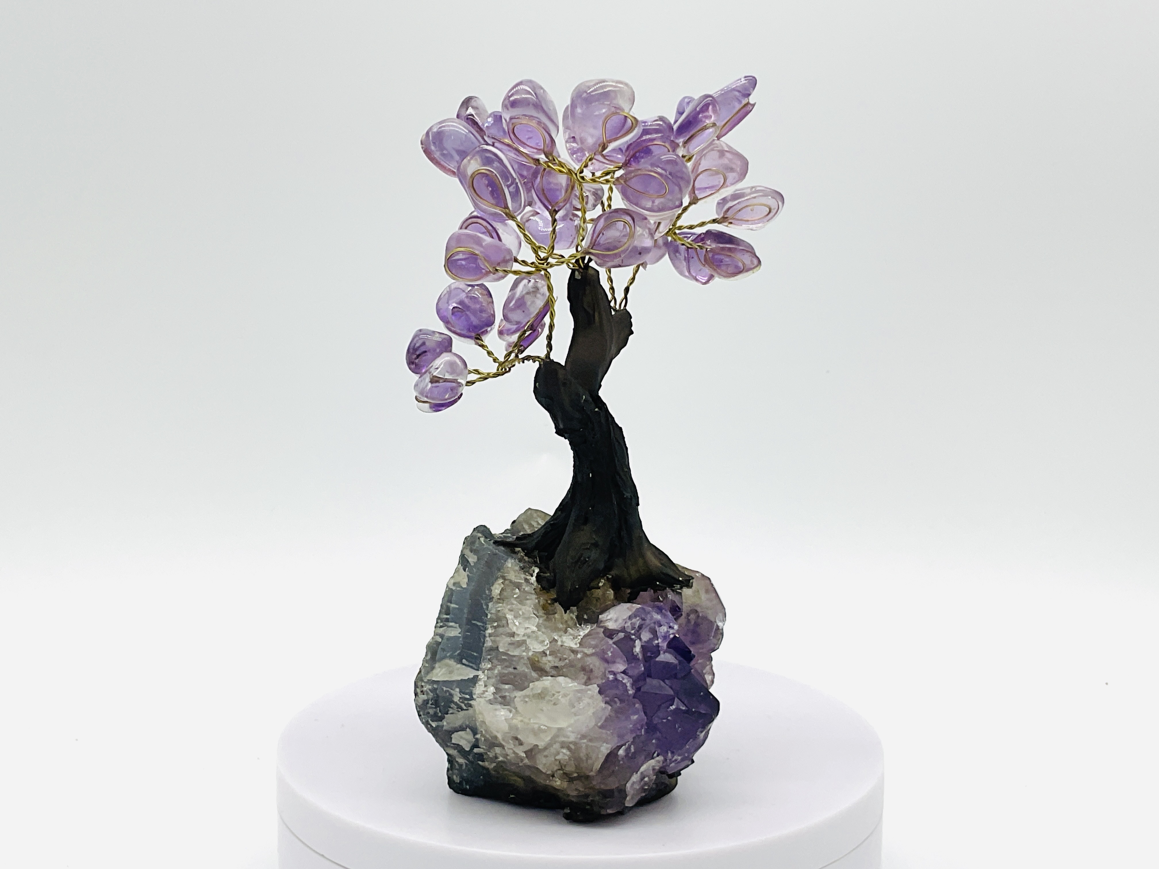 Stromeček štěstí