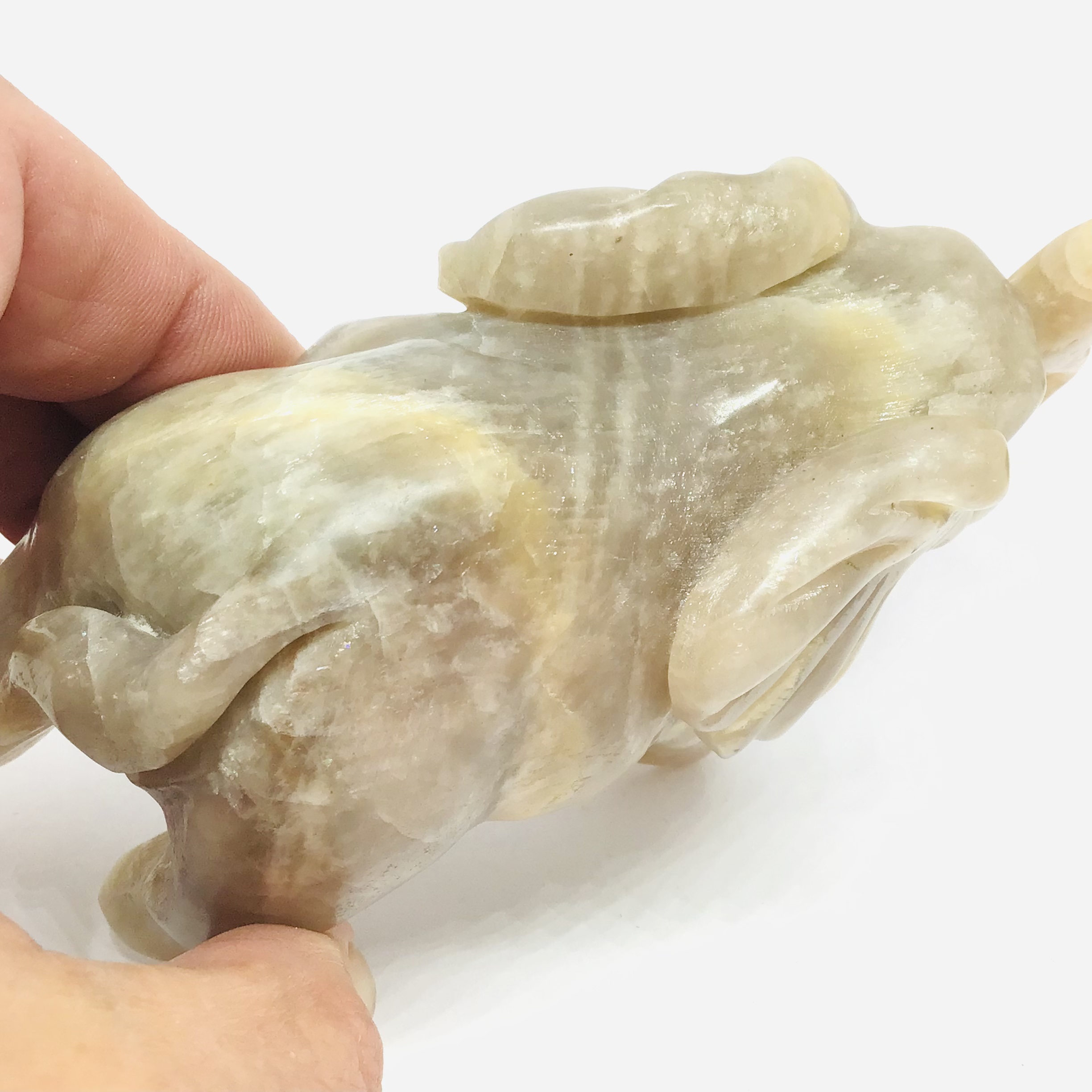 Slon -Měsíční kámen