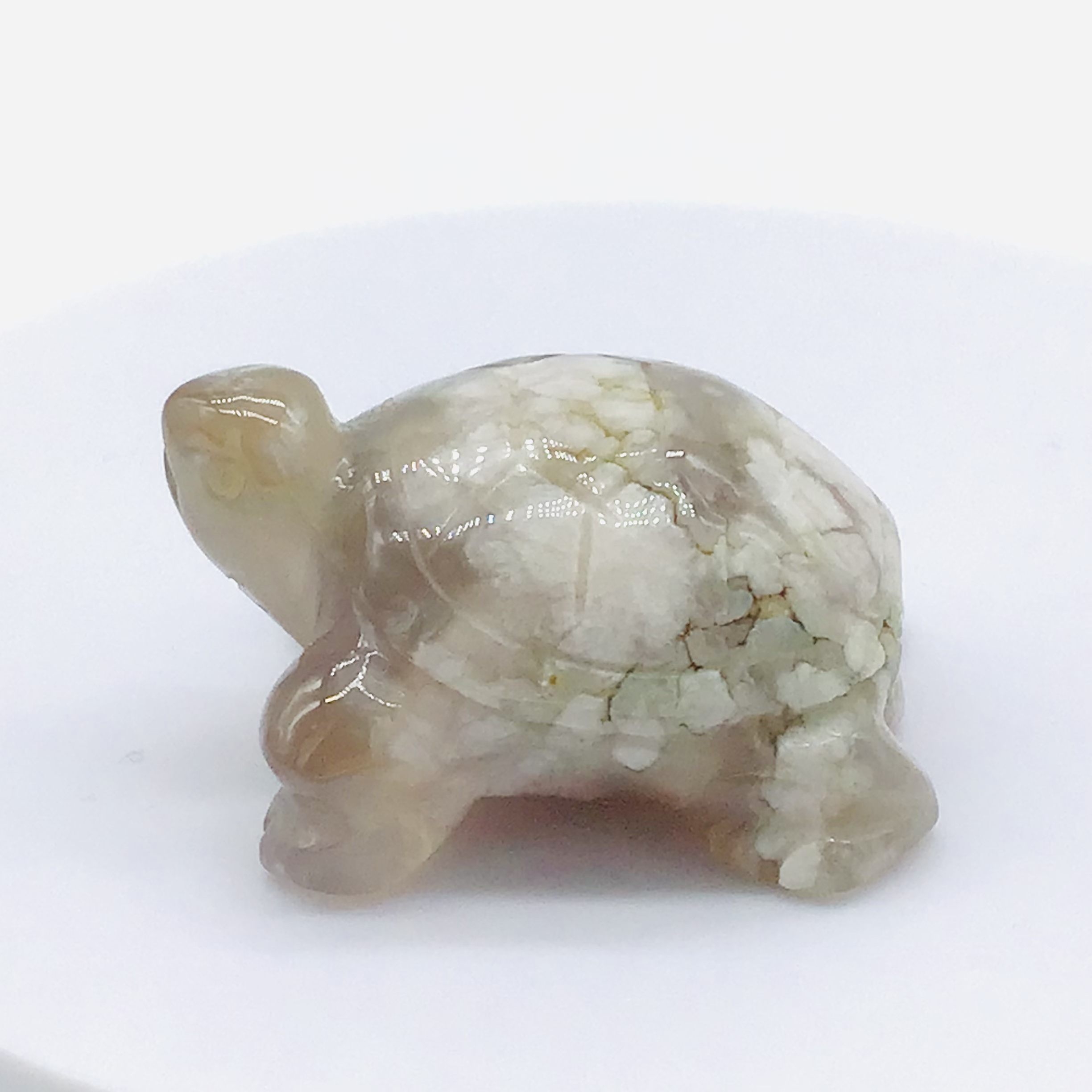 Želva-Květinový achát