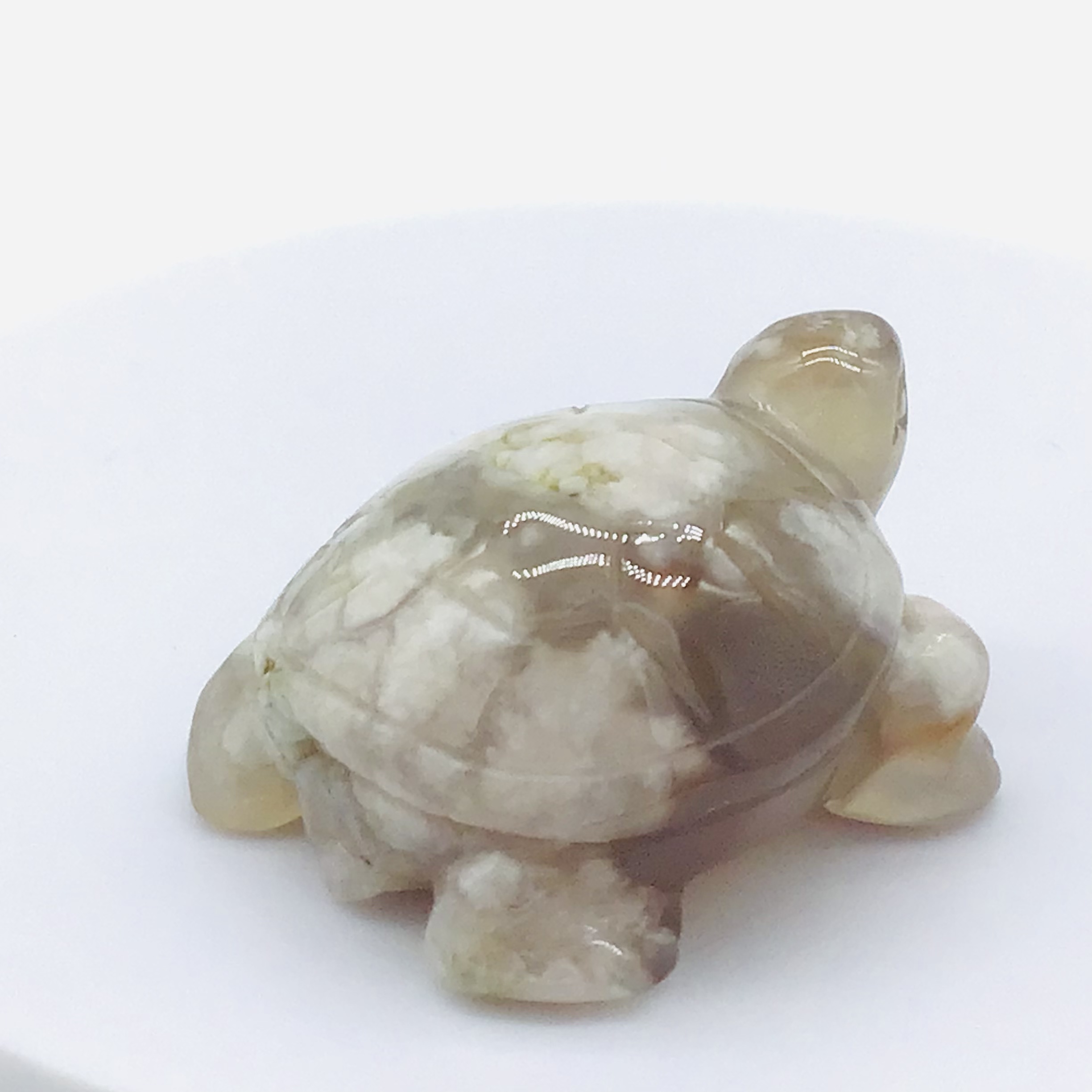 Želva-Květinový achát