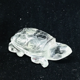 Křišťálová želva